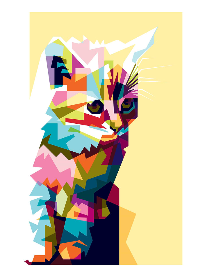 colorful baby kitten