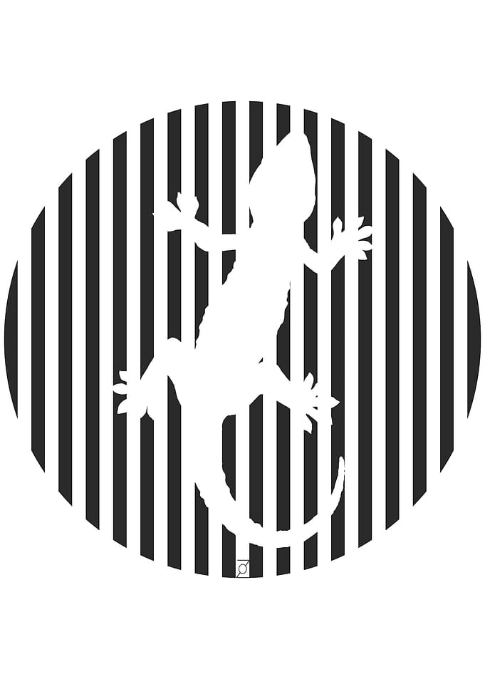 Gekko