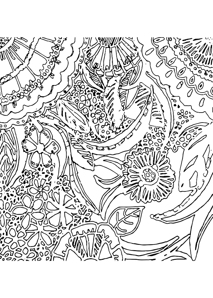 Imagination flowers