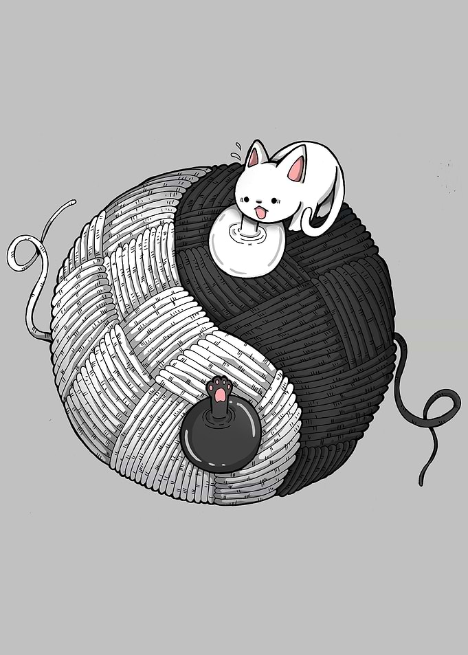 Tao Cats