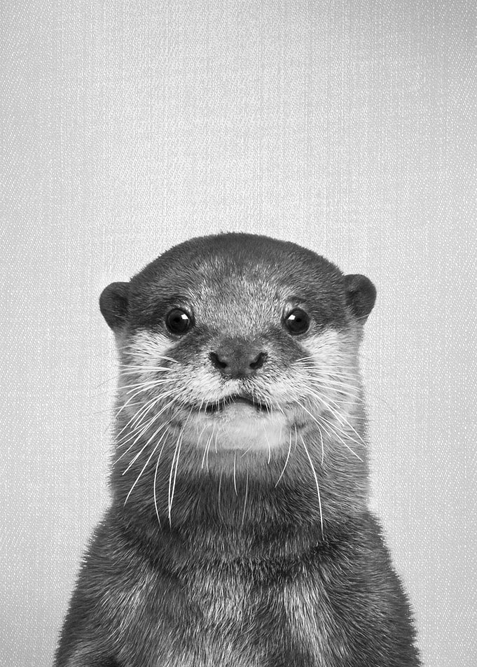 Otter BW