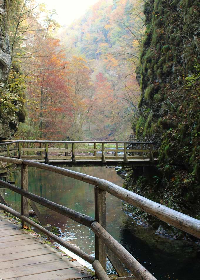 Magical path