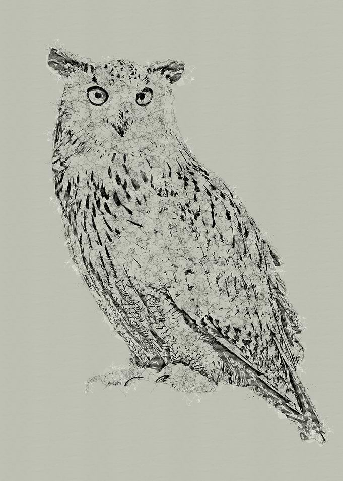 Eagle Owl