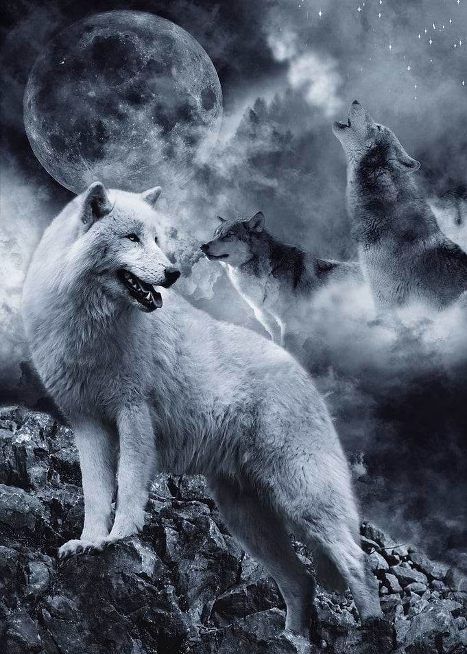 Wolves