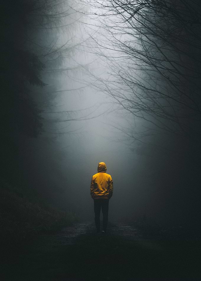 Into the fog