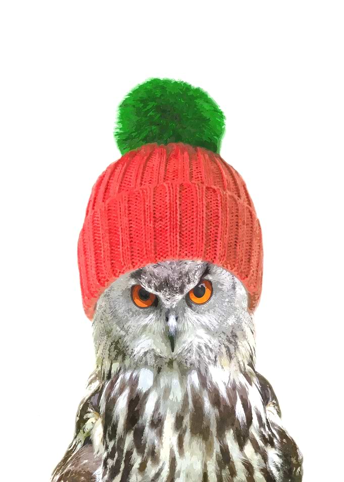 Owl Winter Holidays