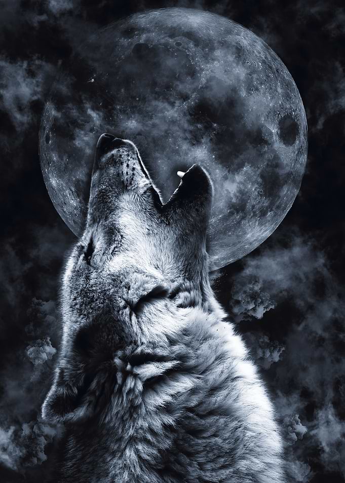 Wolf Moon