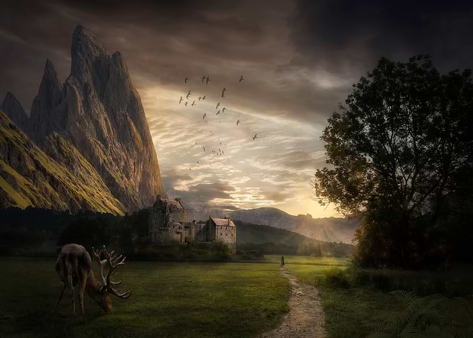 Der Weg nach Hause