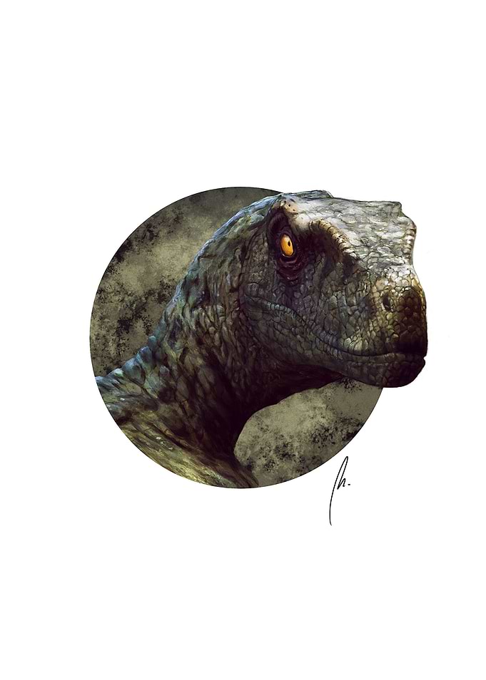 Raptor