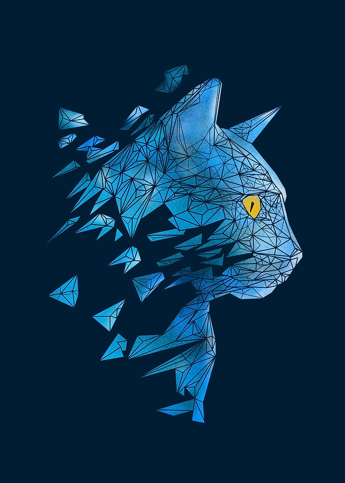 polycat2