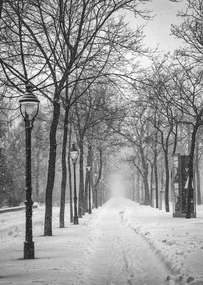 Let it Snow