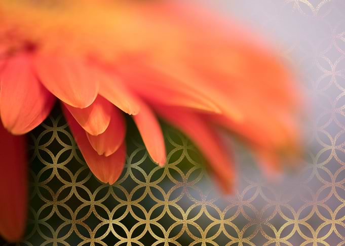 Flower softness