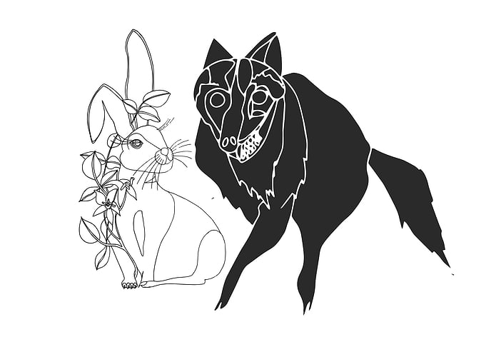 Shadow wolf and bunny