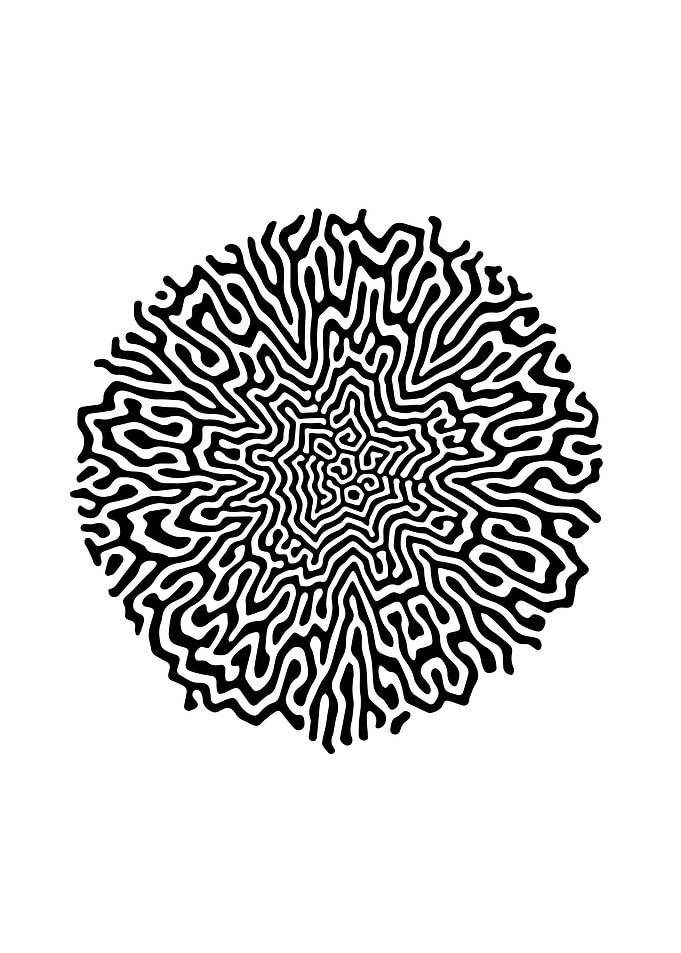 Turing Pattern