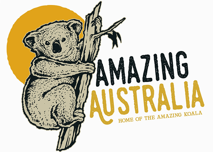 Amazing Australia Koala