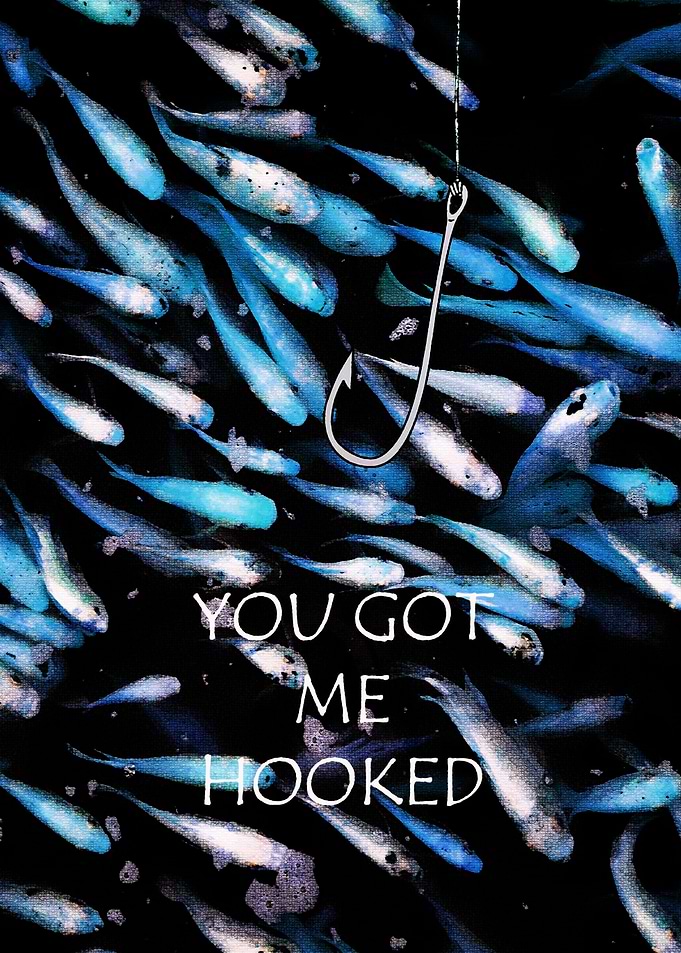 hooked