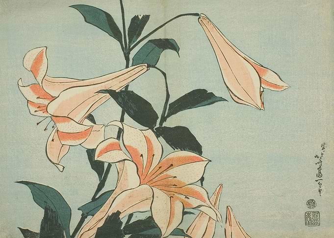 Lilies