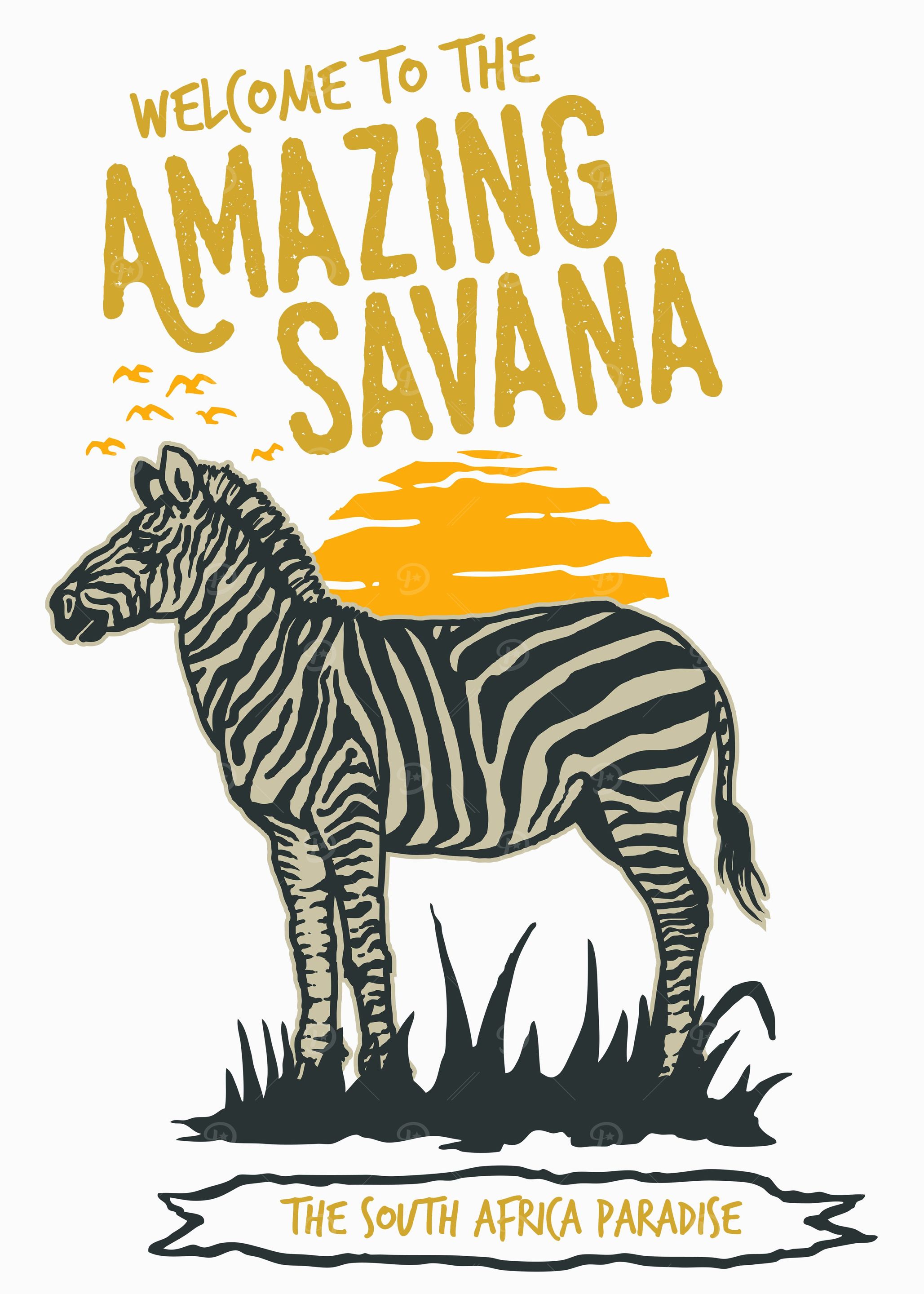 Amazing Savana Zebra