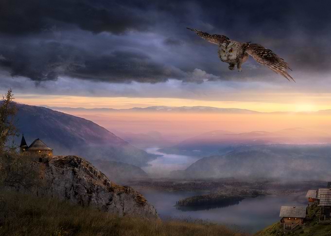 Am Ende der Nacht