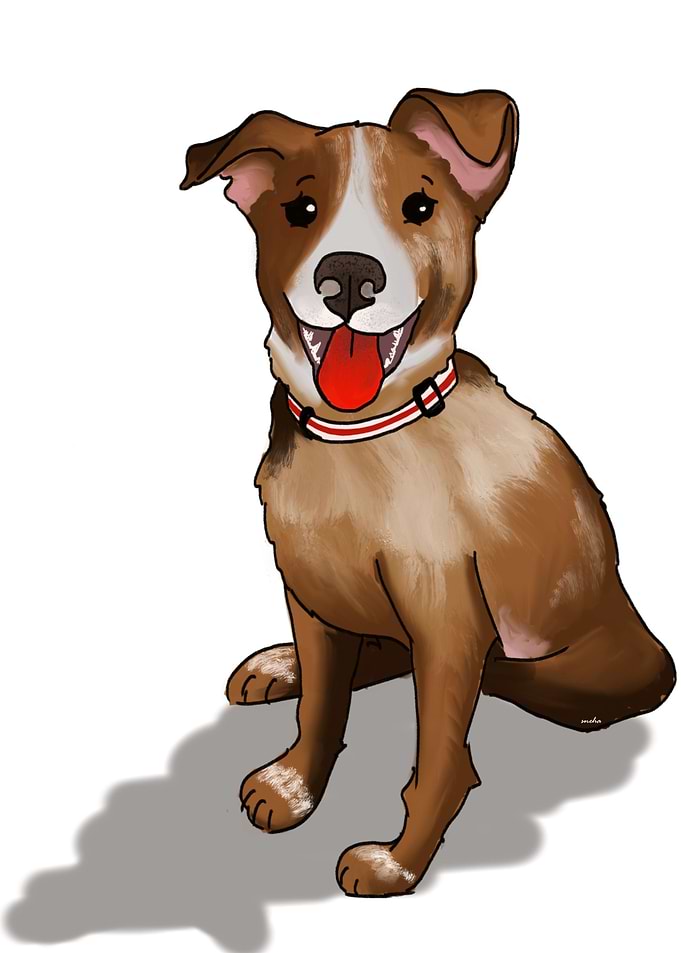 Apollo