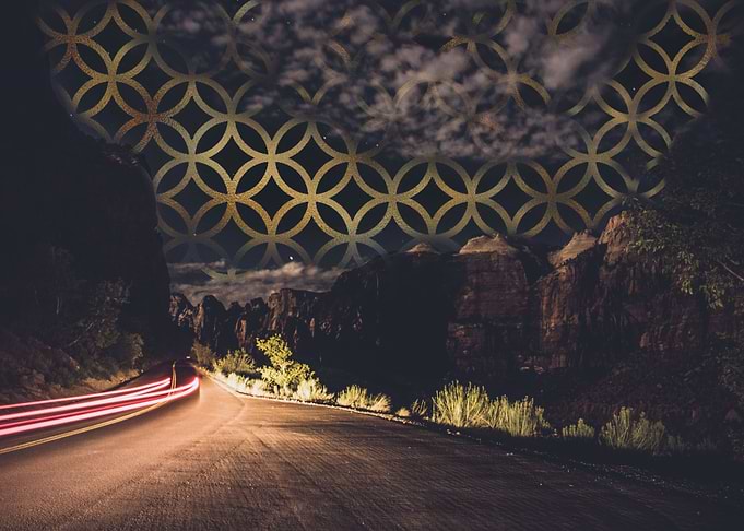 Beasts at night