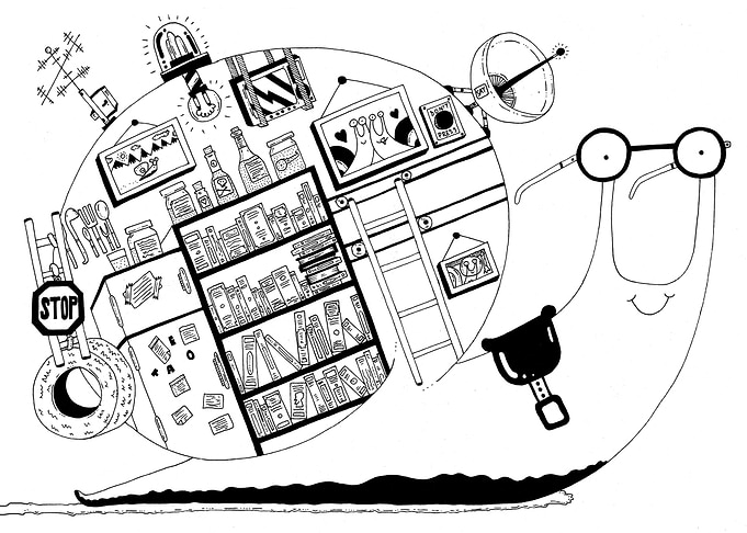 A snails home