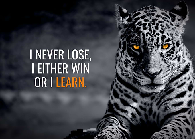 I Never Lose