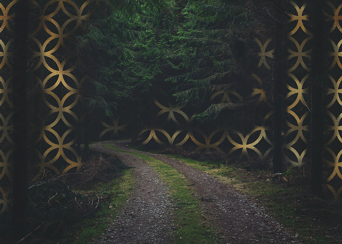 Walk in the woods