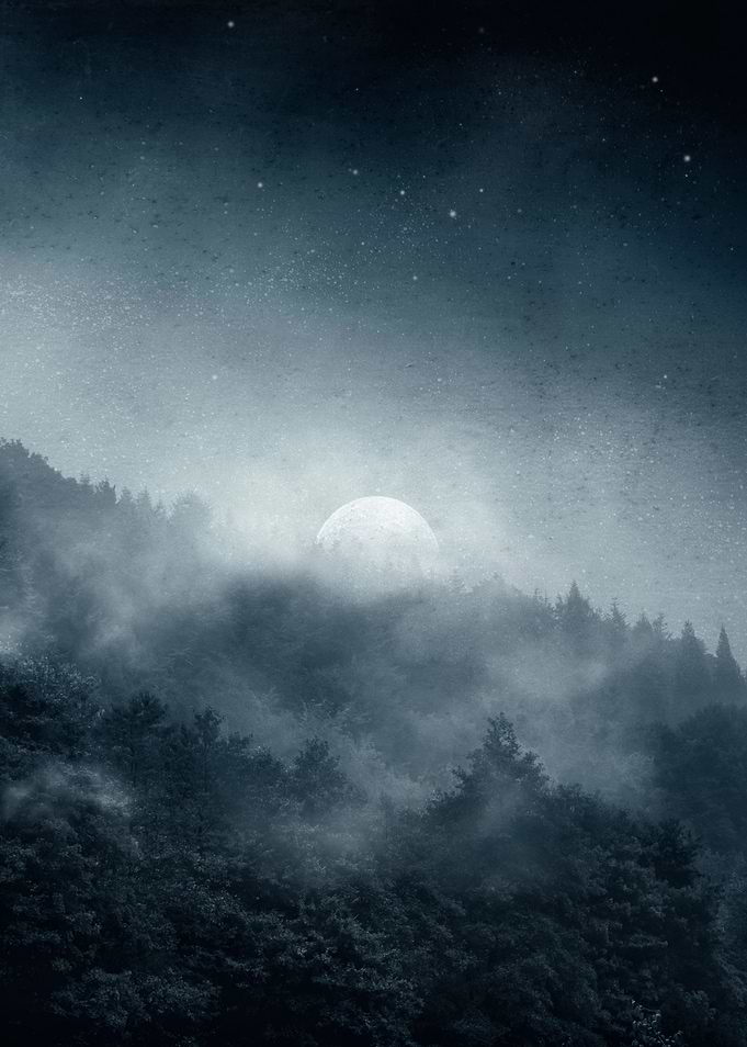 night shadows