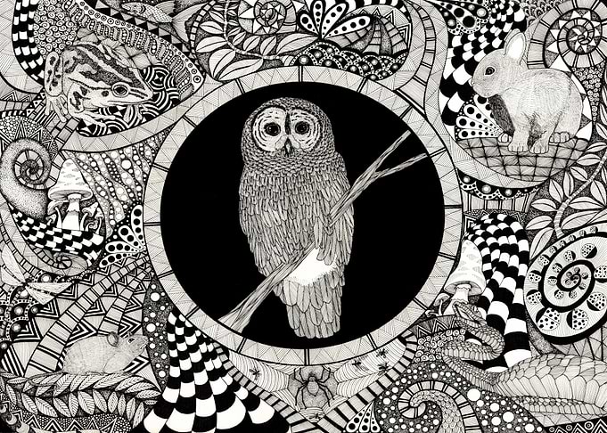 night garden owl