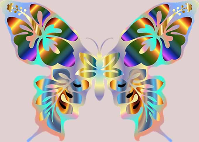 Abstract Butterfly