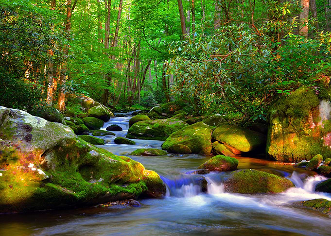 A Smoky Mountain river