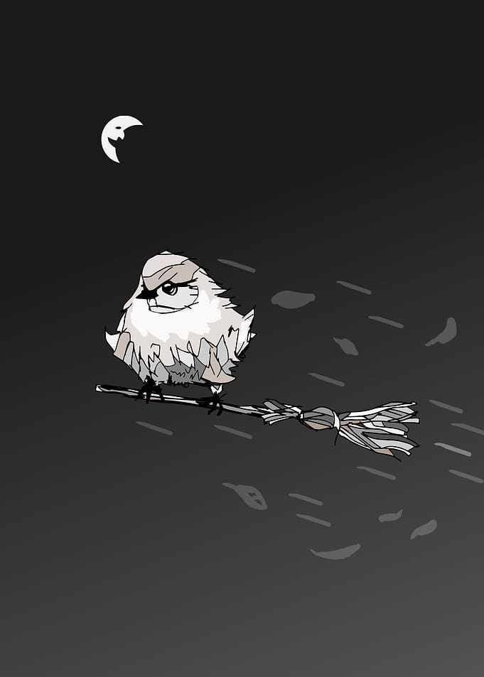 bird on a broomstick
