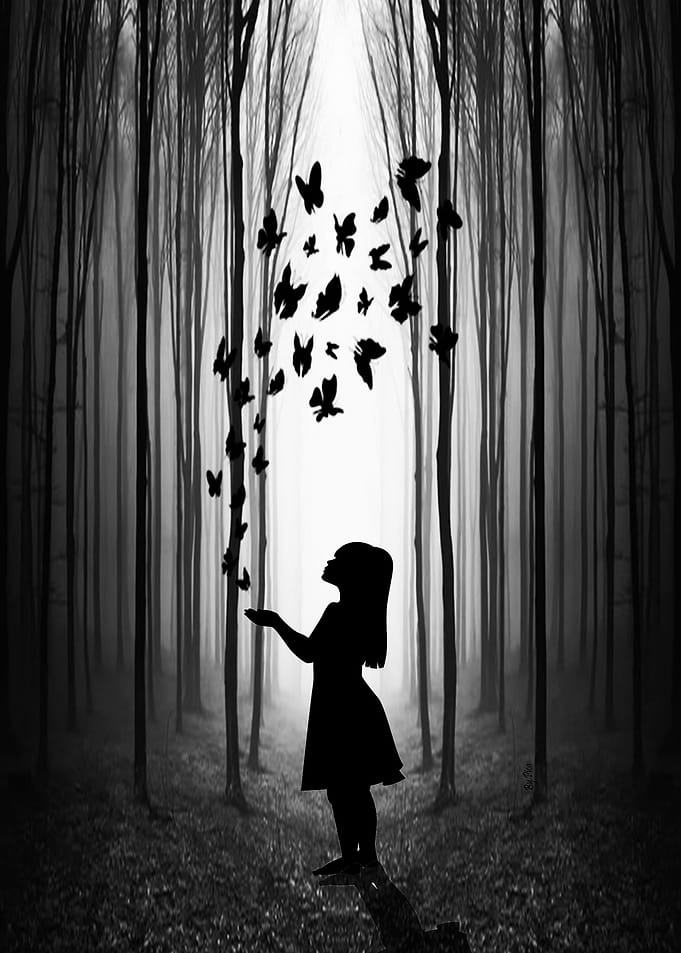 imaginal forest