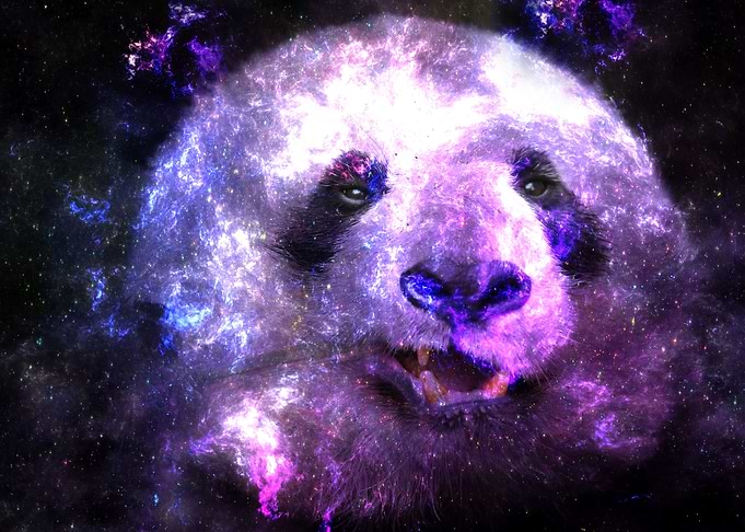 Galaxy Panda Pink Edition