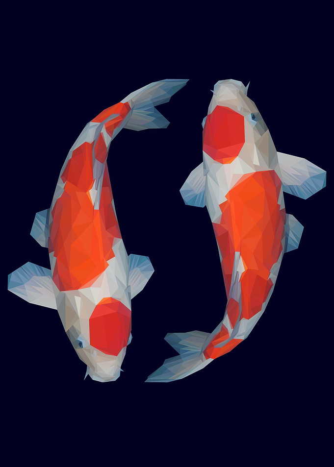 Two Koi in Lowpoly art