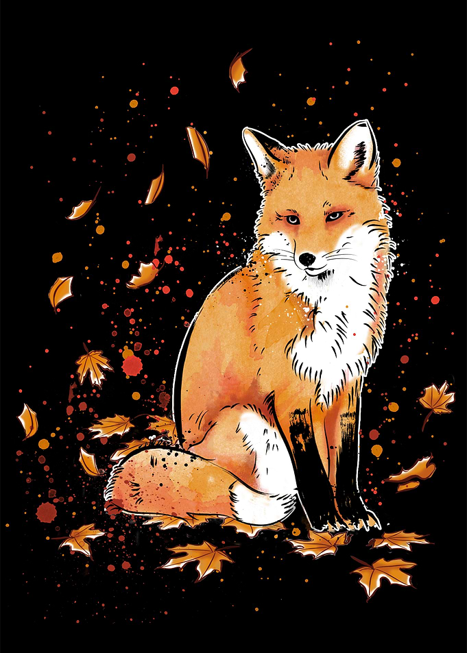 Fox in the Night