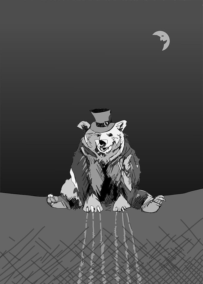 bear with hat