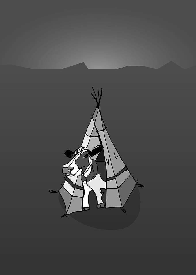 cow in a tent