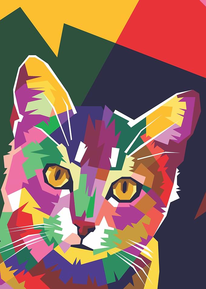 Colorful Cat