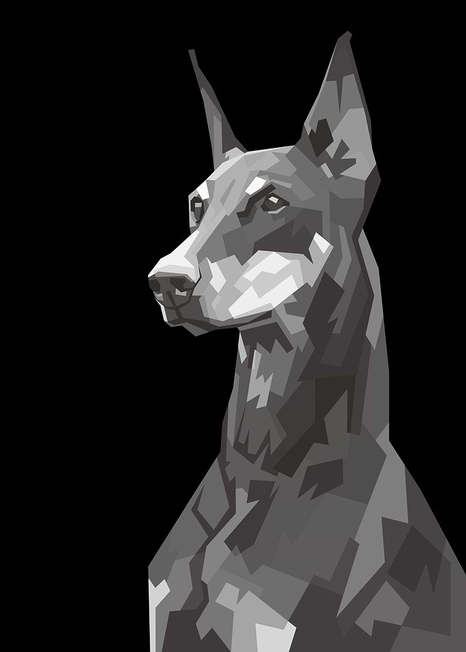 Doberman Dog