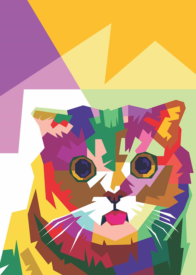 Amazing Colorful Cat
