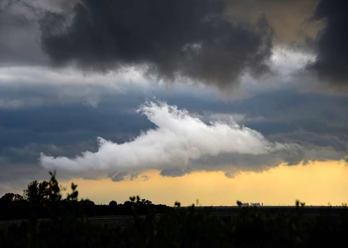 Cloud Dolphin