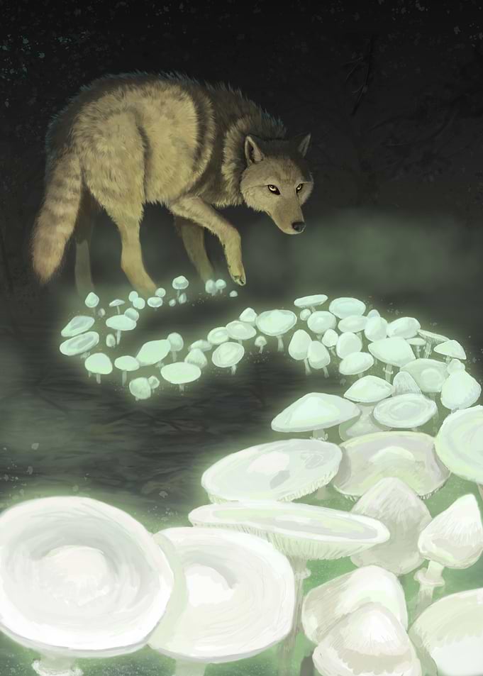 Pawprints of Death