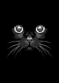 Black Cat Face