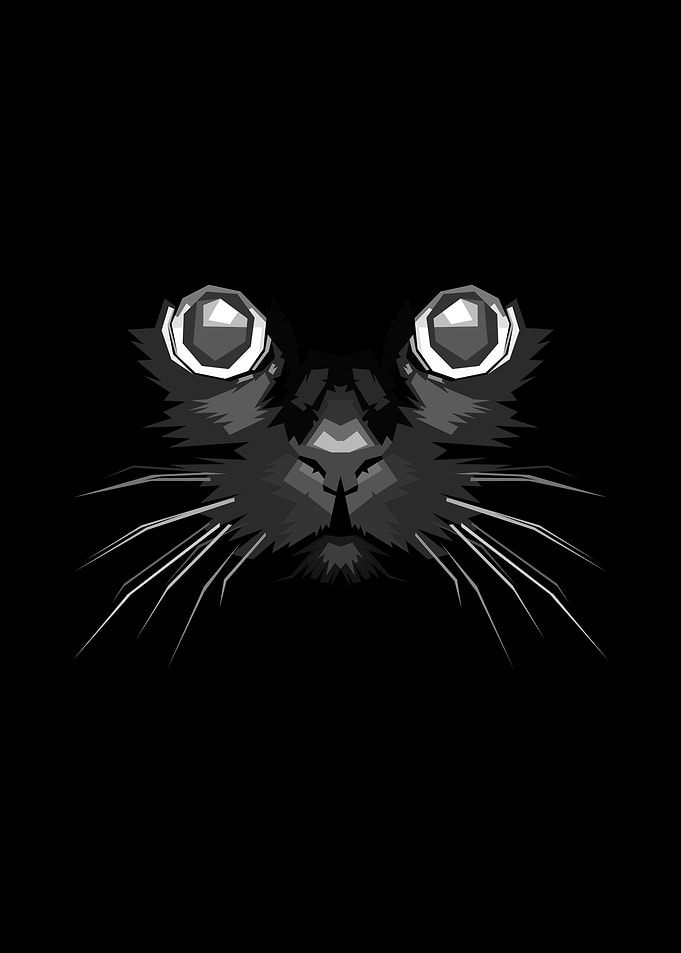 Black Cat Face