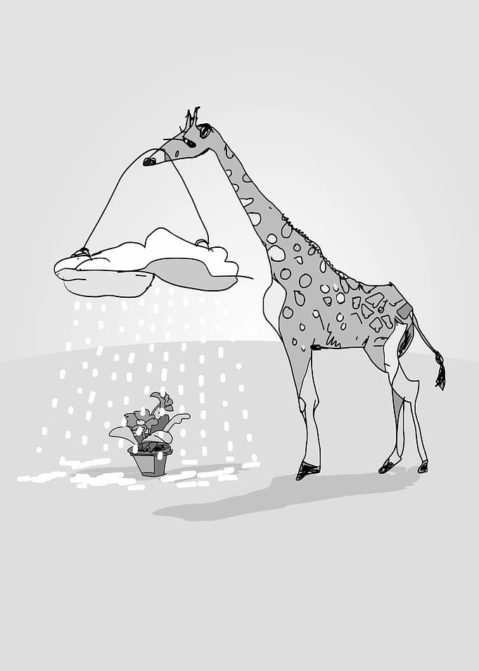 giraffe and cloud