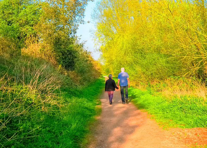 Walk In the Country