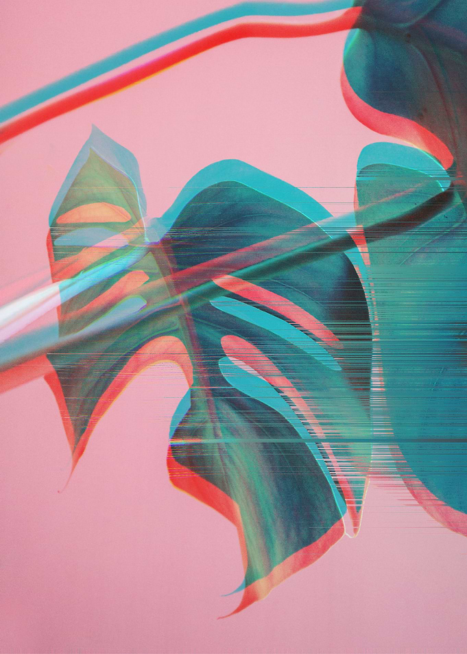 Monstera Glitches