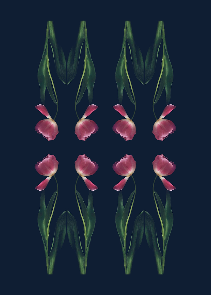 Tulips Pattern